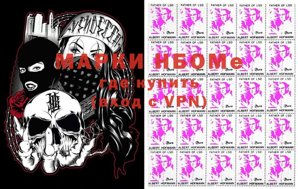 стафф Долгопрудный