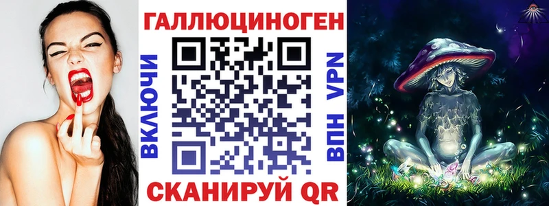 где купить наркотик  Сухиничи  Галлюциногенные грибы Psilocybine cubensis 
